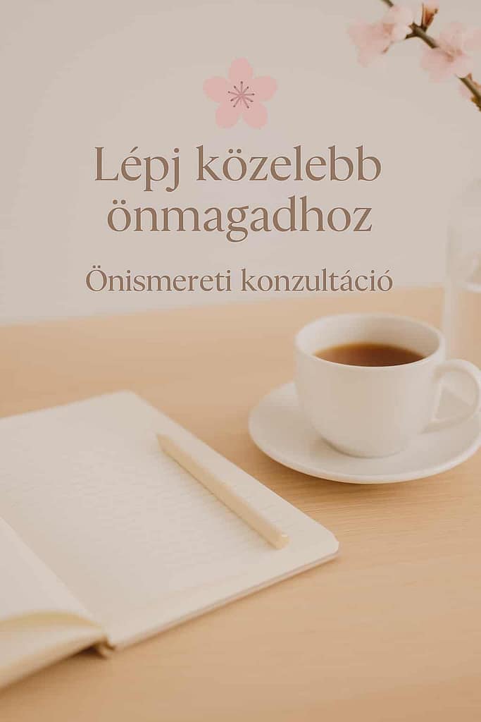 8ee53799-7c54-408e-b698-635e4c6d9484